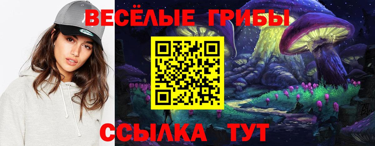 Златоуст  Псилоцибиновые грибы Psilocybe  Вход с VPN 